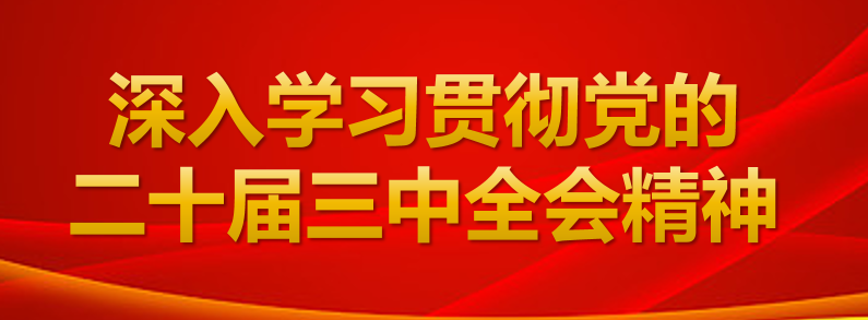 深入学习贯彻党的二十届三中全会精神